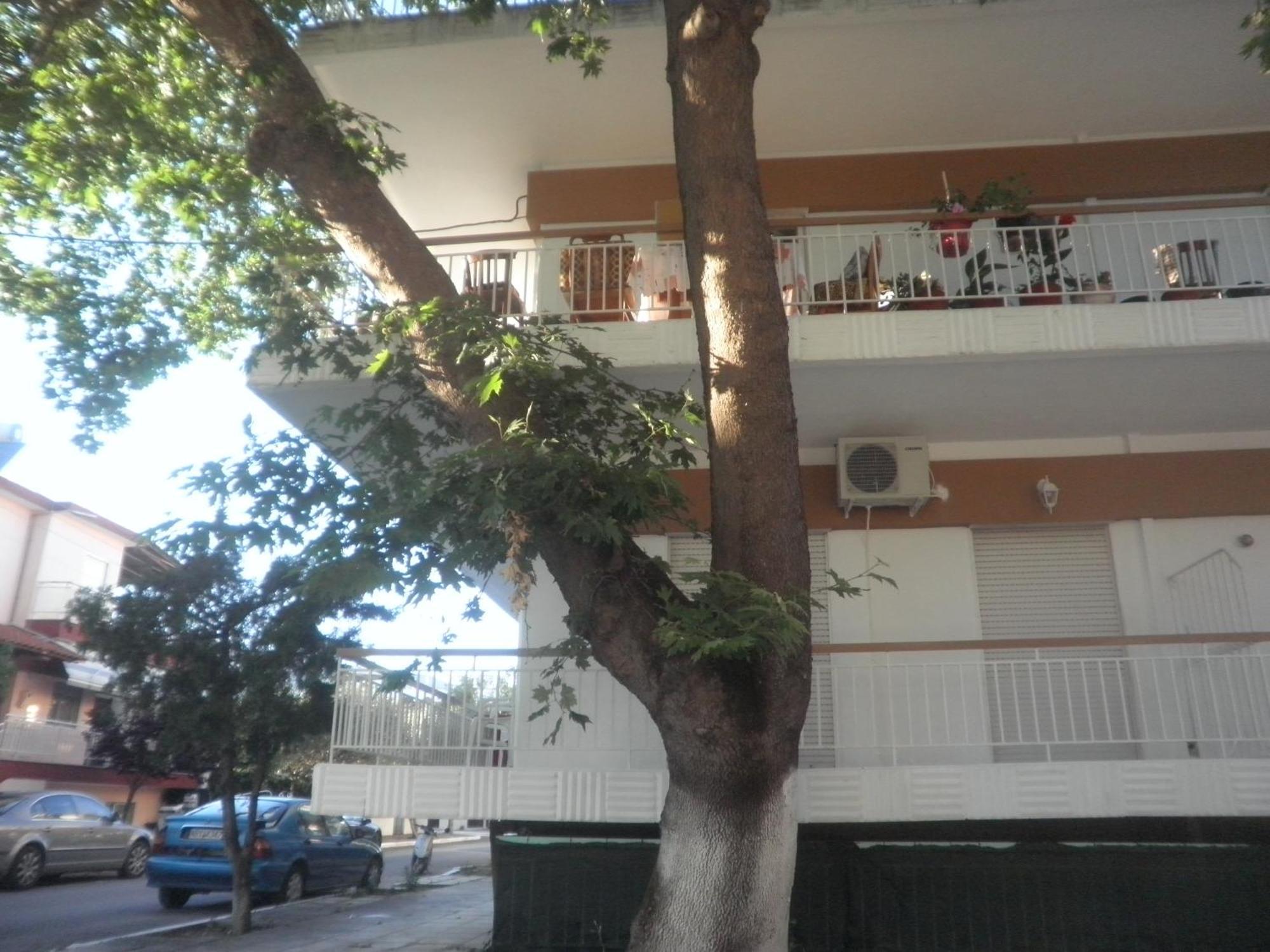 Apartments Anesis Pantazis Asproválta Eksteriør billede
